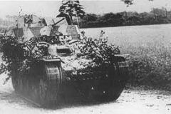 gepard001