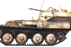 gepard002
