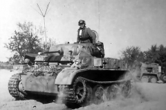 pz2_luchs_7
