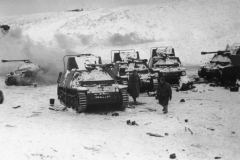 marder2_001