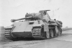 Abandoned_Panther_ausf_D