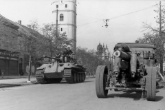 Hungary_Panzer_V_Panther