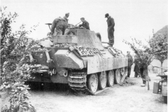 PantherD232