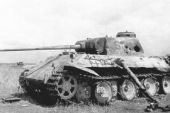 Panther_634_2
