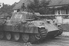panther-ausfg1