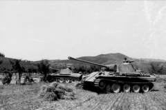 pzkpfw_Panther_tanks