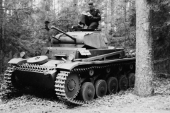 German_light_tank_Panzer_II_3