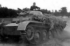 Pz II D polen4