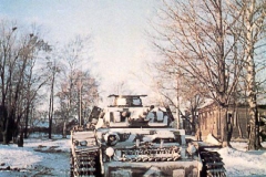 (77)