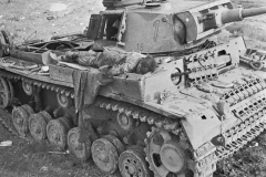 THE BRITISH ARMY IN TUNISIA 1943