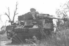images (5)
