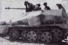 250 25mm