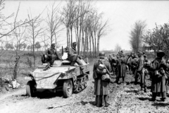 Sd.Kfz_._250-1_neu_Schutzenpanzer_eastern_front_1944