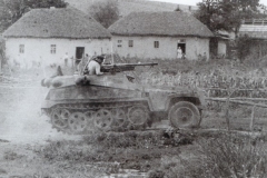 SdKfz_250-10