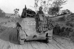 SdKfz_250_C22
