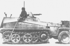 sdkfz250_2
