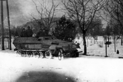 SdKfz_251_winter