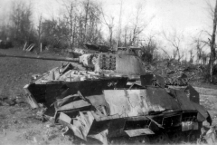 panther_251_wreck