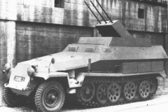sdkfz251-21