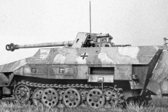 sdkfz251bwweb