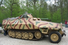SdKfz251Rosi_MR2008