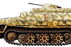 sdkfz251-21