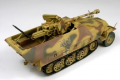 normal_sdkfz-251-22-pak-40-hanomag-3