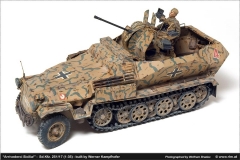 sdkfz251_01