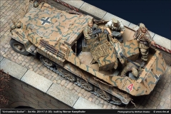 sdkfz251_07