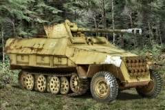 sdkfz_251_ausfd (2)