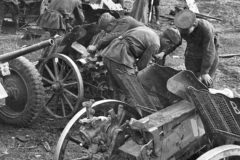 leig18-pak35-sig33
