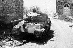 Tiger_II_lying_in_wait