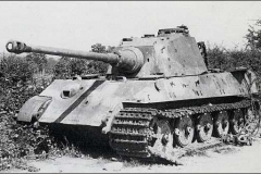 tiger-ii-wallpaper-11