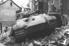 tiger2_in_ruins