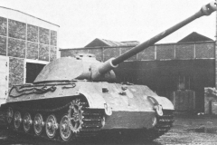 tigerii
