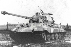 tigerii008cw_19a