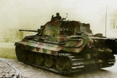 tn_800x600_1533718_23275_Tiger_II_AusF._B.__Pz.Abt.__503__1944_Budapest__006